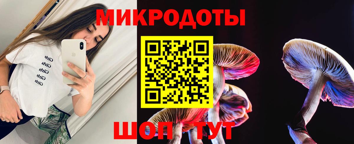 Галлюциногенные грибы MAGIC MUSHROOMS Димитровград
